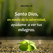 La vida cristiana es permitir que cada día Dios nos hable