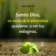 La vida cristiana es permitir que cada día Dios nos hable