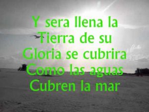 Alza tus ojos y mira - la cosecha